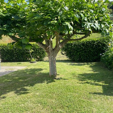 Moradia Rustica Jardim Villa Caloura Dış mekan fotoğraf